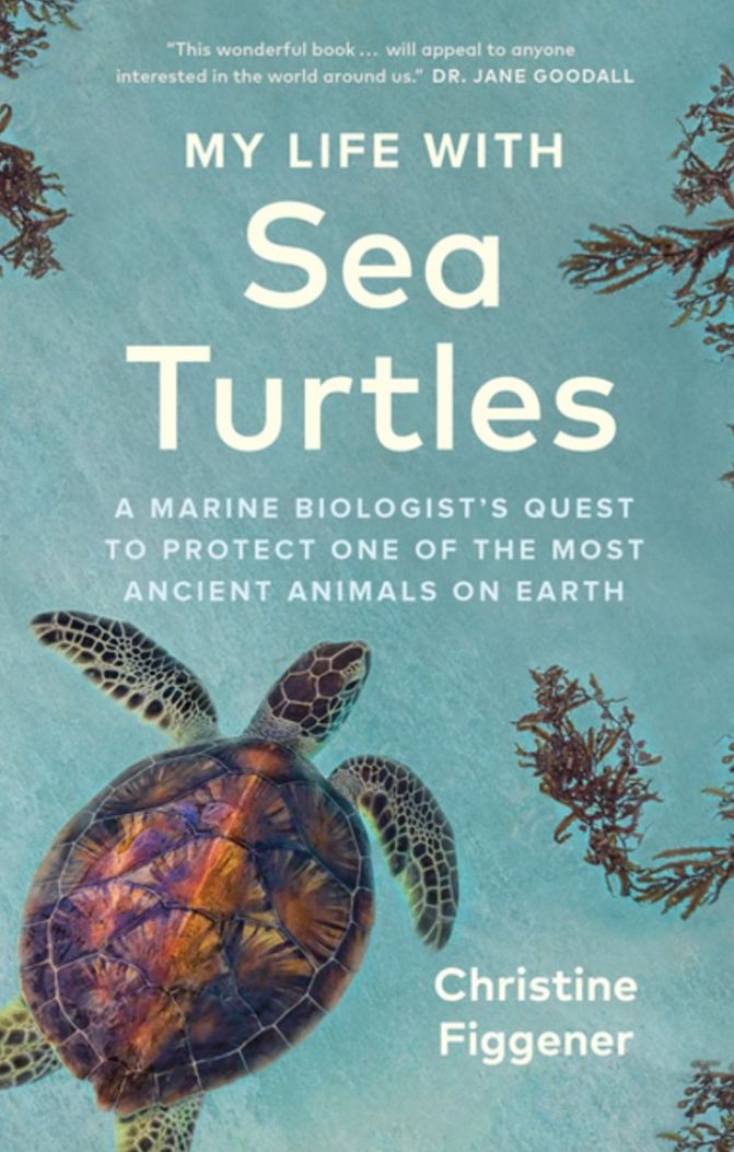 My Life with Sea Turtles