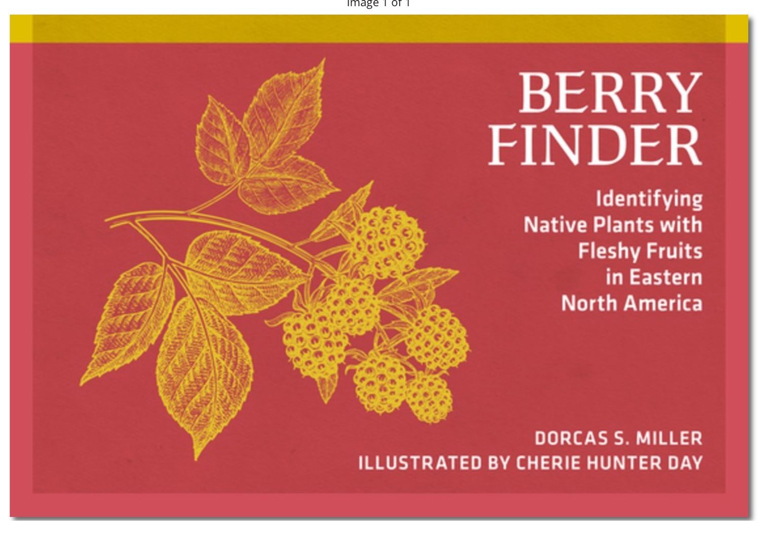 Berry Finder: Identifying Native Plants with Fleshy Fruits in Eastern North America