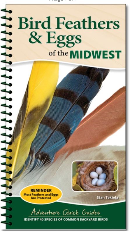 Bird Feathers &amp; Eggs of the Midwest