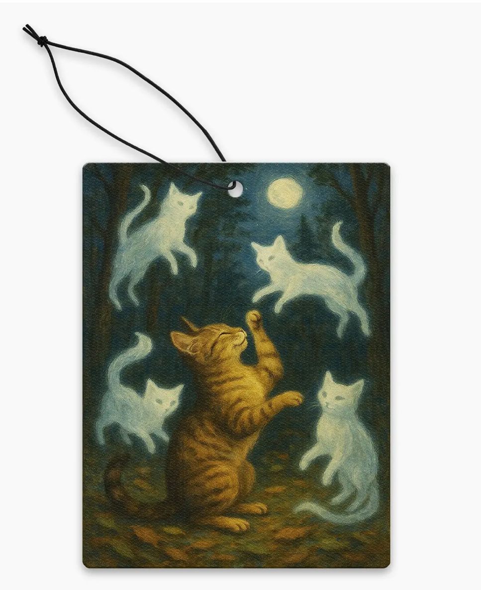 Playing With Your Past Lives Air Freshener