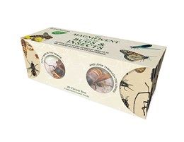 Magnificent Book of Bugs and Insects