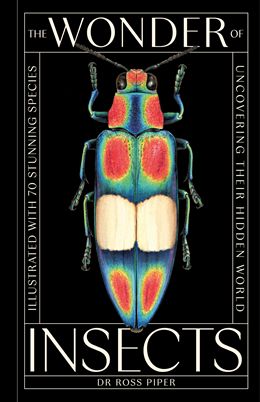 Wonder Of Insects