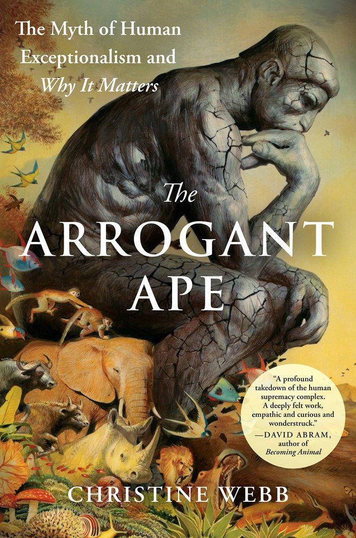 Arrogant Ape