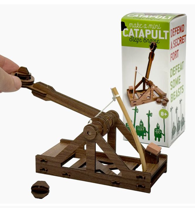 Mini Catapult