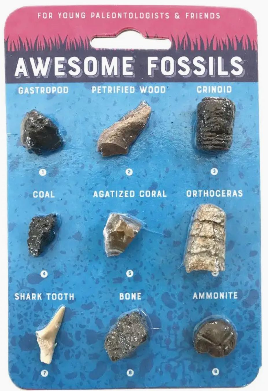 Awesome Fossils