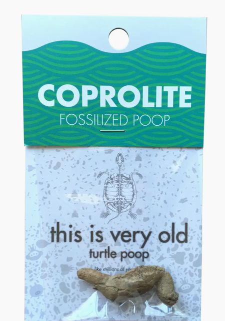 Coprolite Fossilized Poop