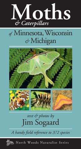 Moths &amp; Caterpillars Of Minnesota, Wisconsin &amp; Michigan