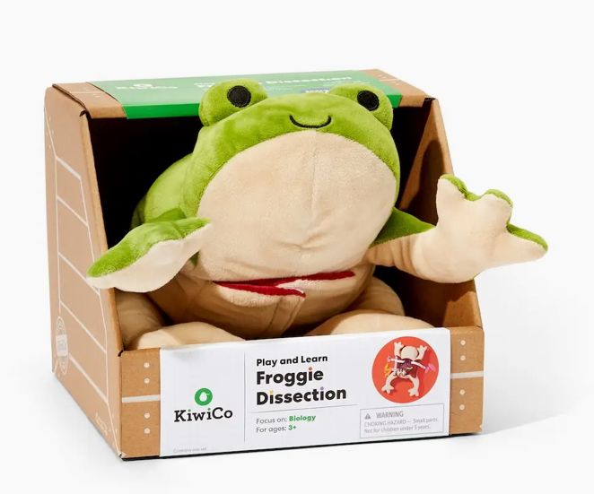 Play &amp; Learn Froggie Dissection