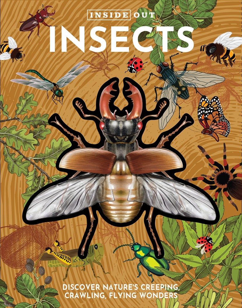 Insects 