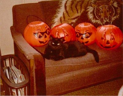 All things spooky!