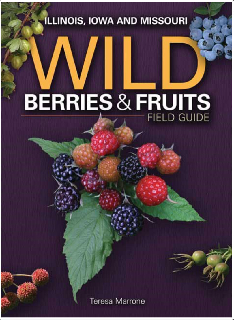Wild Berries &amp; Fruits Field Guide for Illinois, Iowa and Missouri