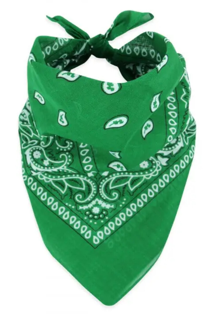 Green Paisley Print Bandana for Suicide Awareness