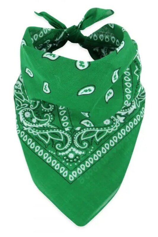 Green Paisley Print Bandana for Suicide Awareness