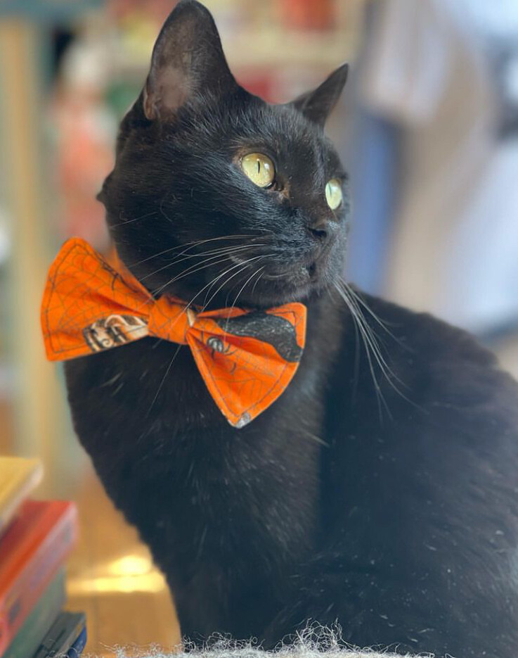 Heather’s Kitty Bow Ties