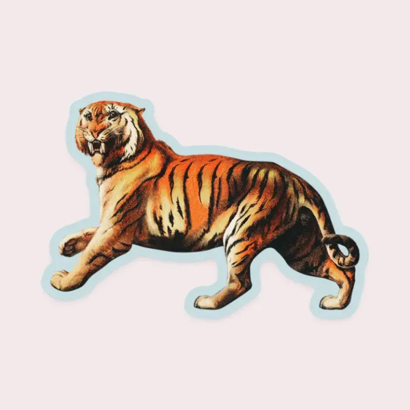 Aghast Tiger Gap Filler Sticker