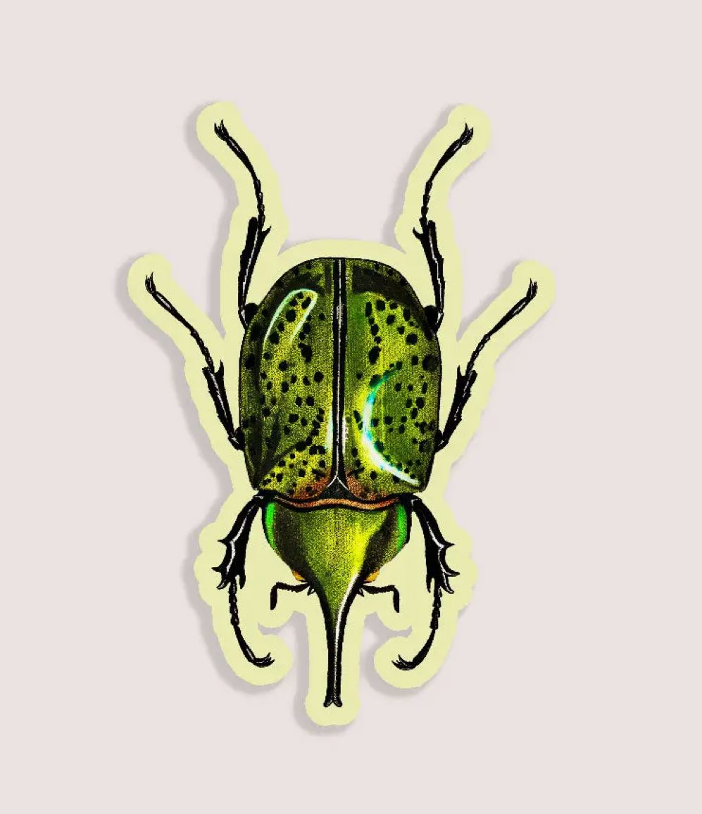 Blissful Beetle Gap Filler Sticker