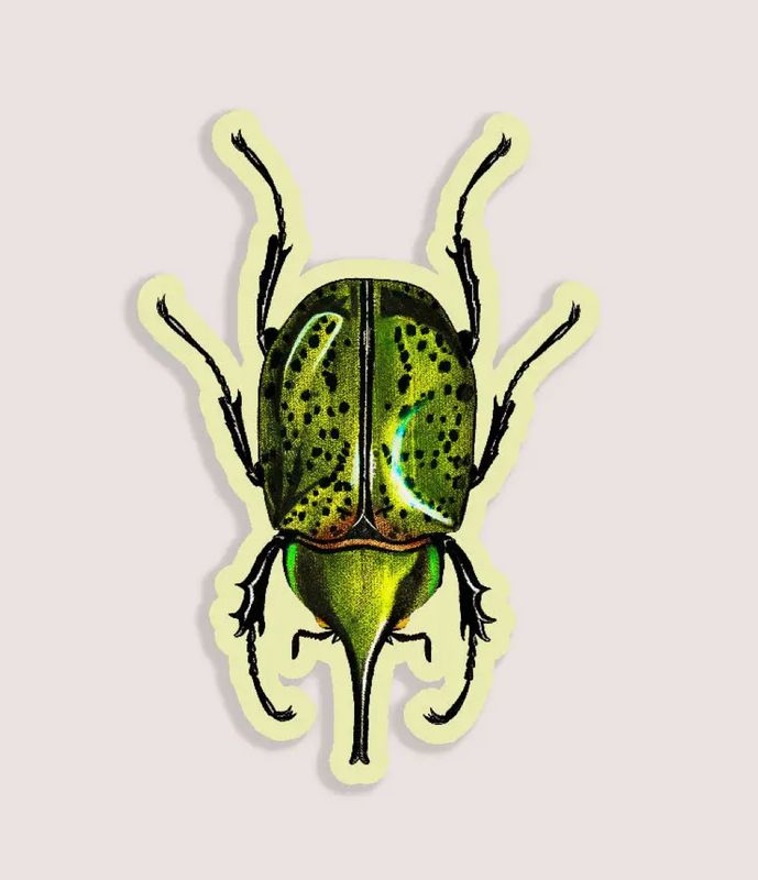 Blissful Beetle Gap Filler Sticker