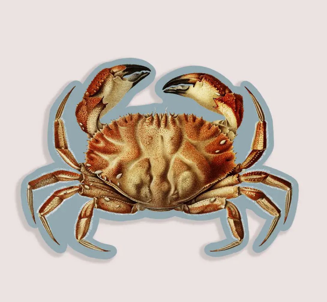 Cheeky Crab Gap Filler Sticker 
