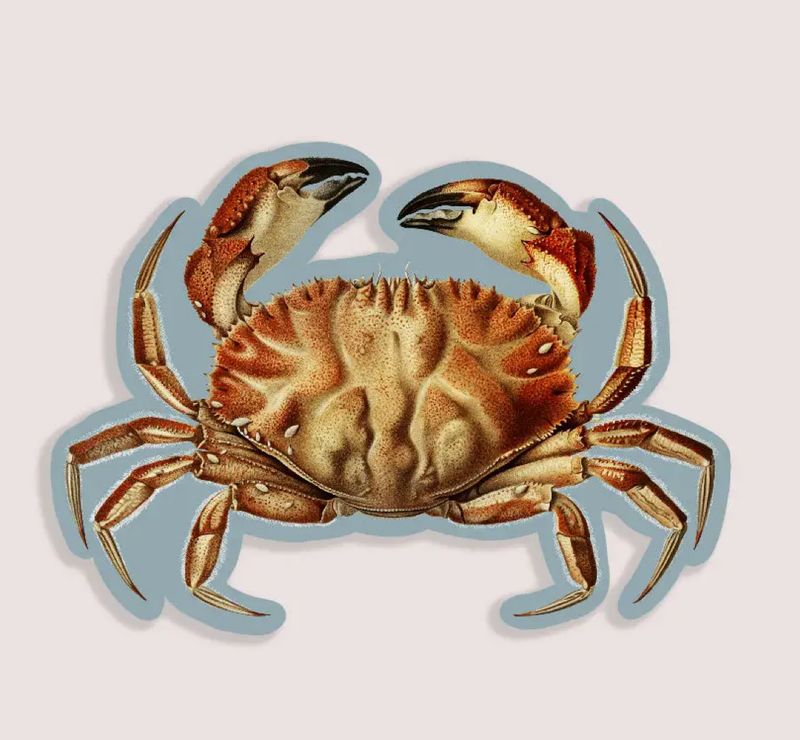 Cheeky Crab Gap Filler Sticker 