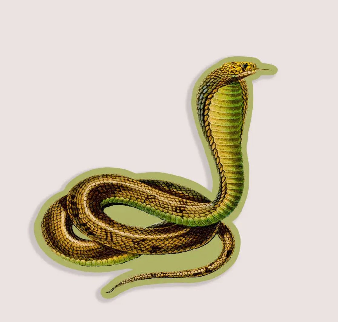 Conceited Cobra Gap Filler Sticker 