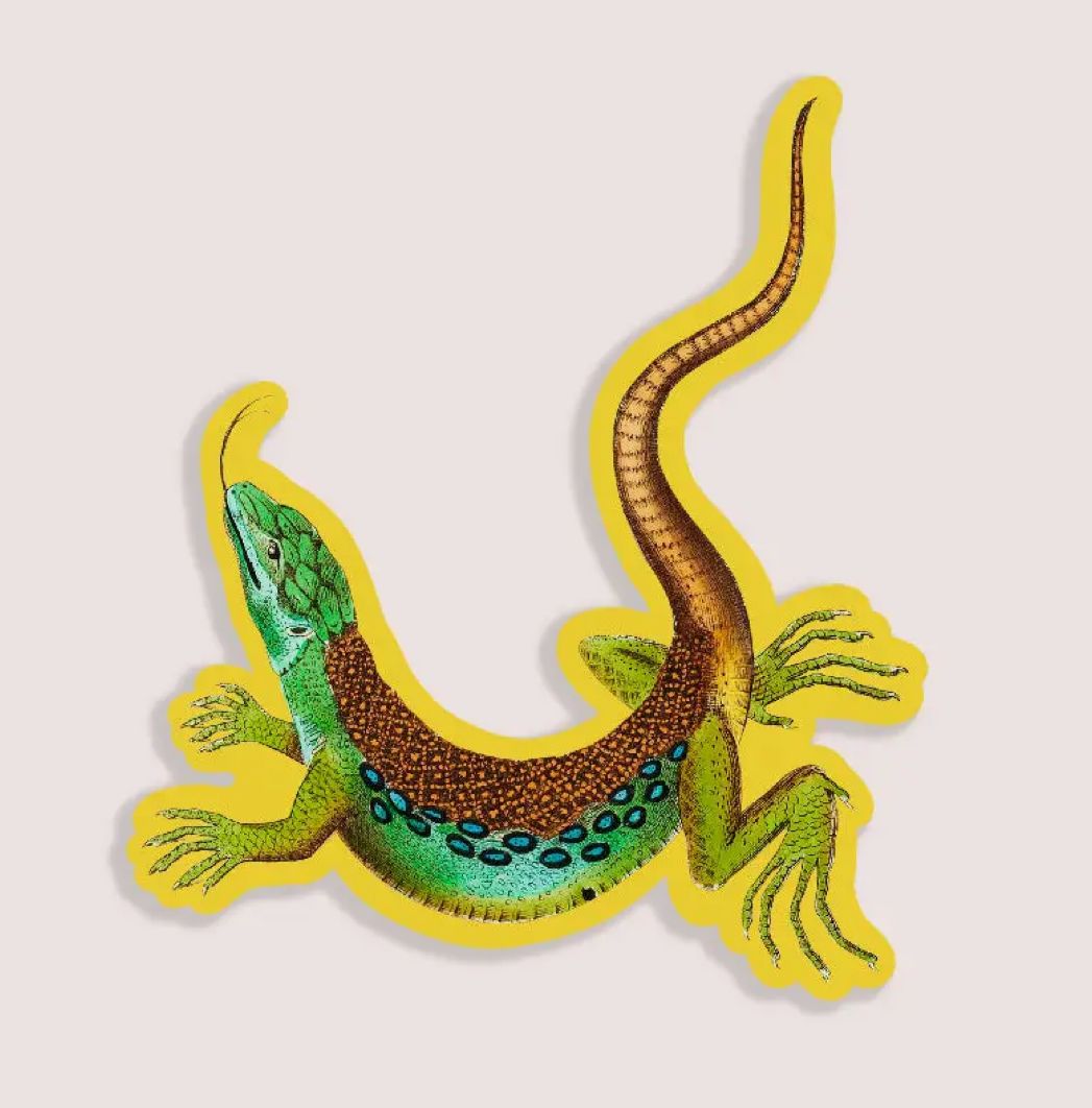 Luscious Lizard Gap Filler Sticker