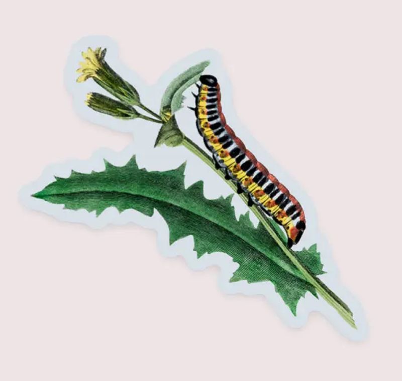 Nosy Caterpillar Gap Filler Sticker