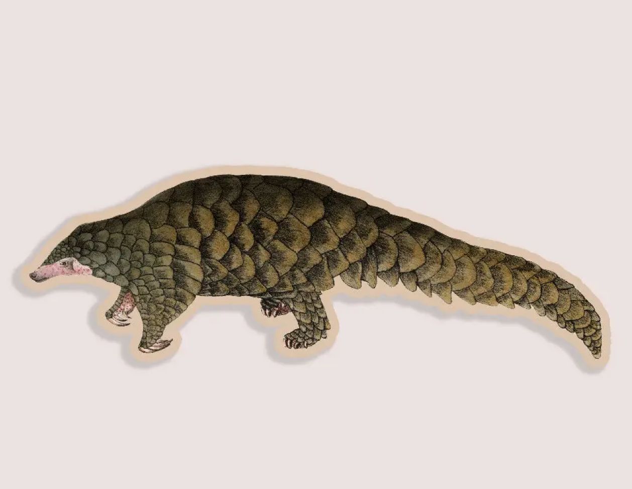Purposeful Pangolin Gap Filler Sticker