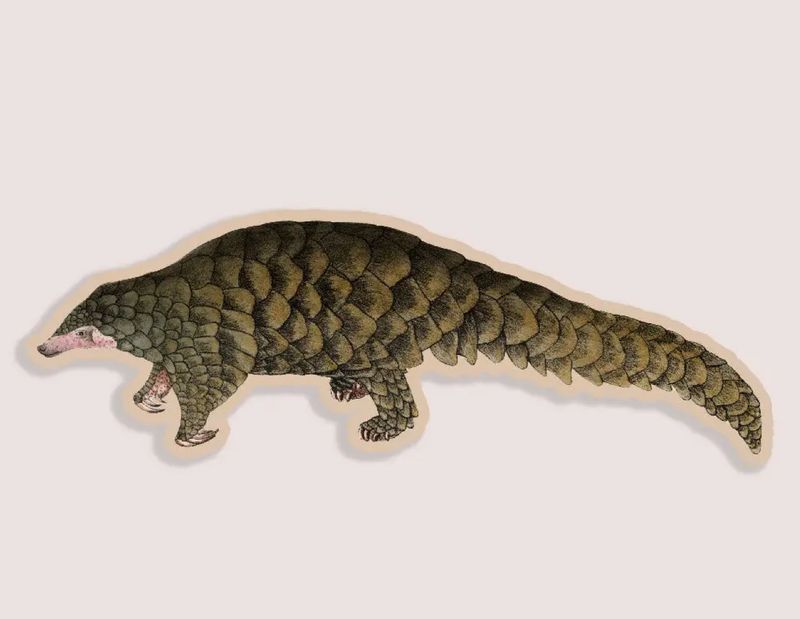 Purposeful Pangolin Gap Filler Sticker