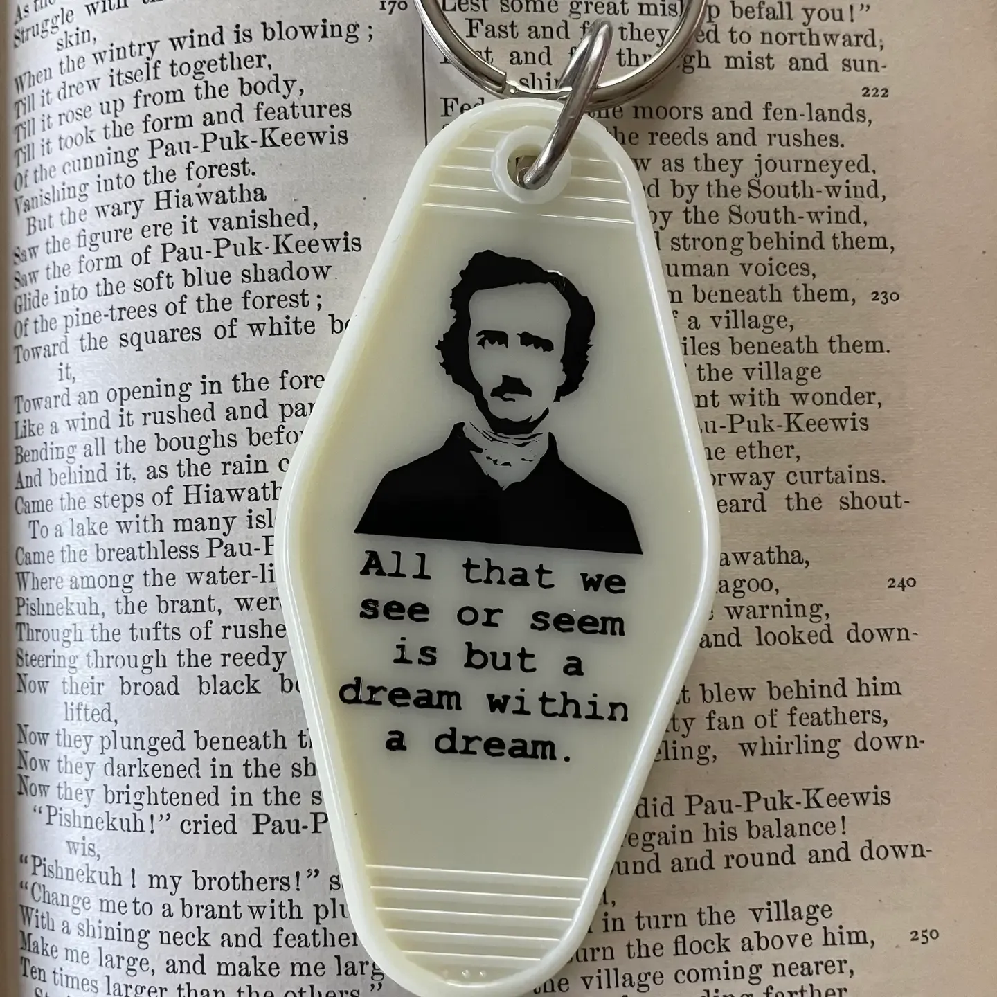 Edgar Allen Poe All That We See Motel Key Fob