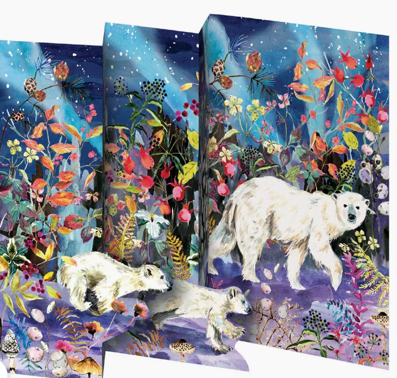Aurora Bears Tri-Fold Card Pack