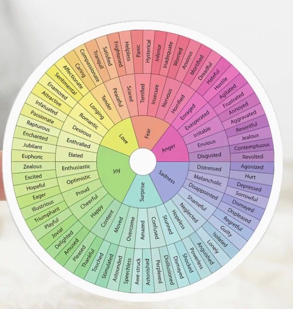 Feelings Wheel Sticker 3" - Light
