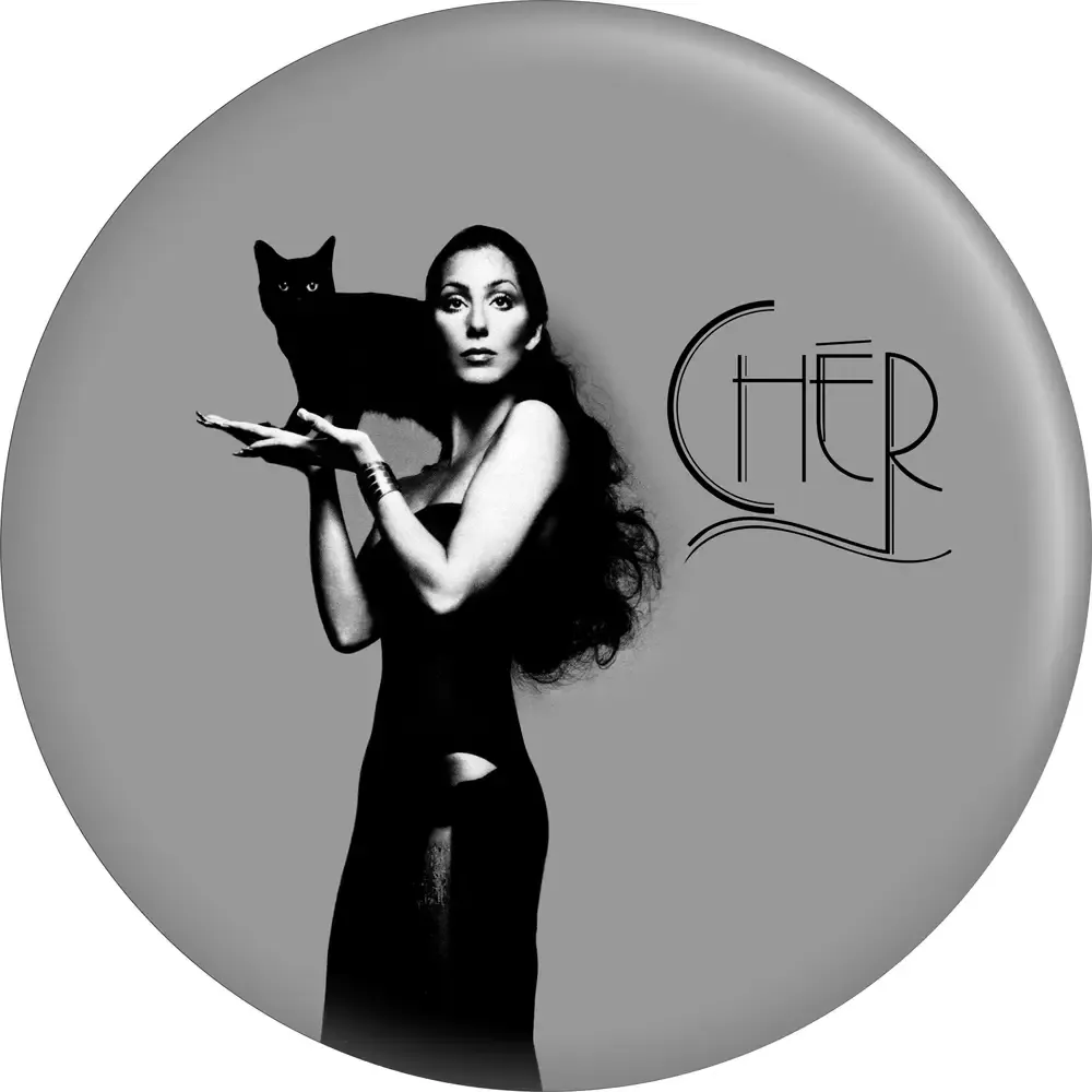 Magnet - Cher Dark Lady Cat Album Cover