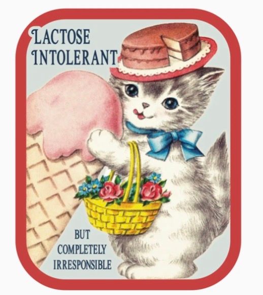 Funny Cat Lactose Intolerant Sticker