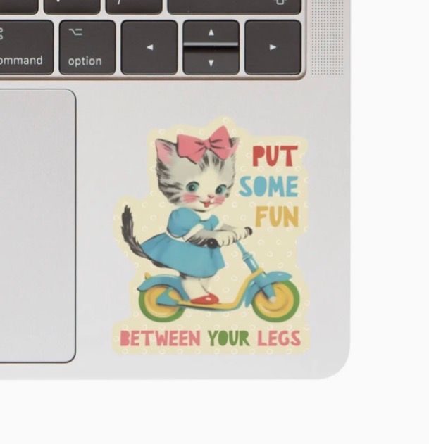 Put Some Fun Cat Sticker