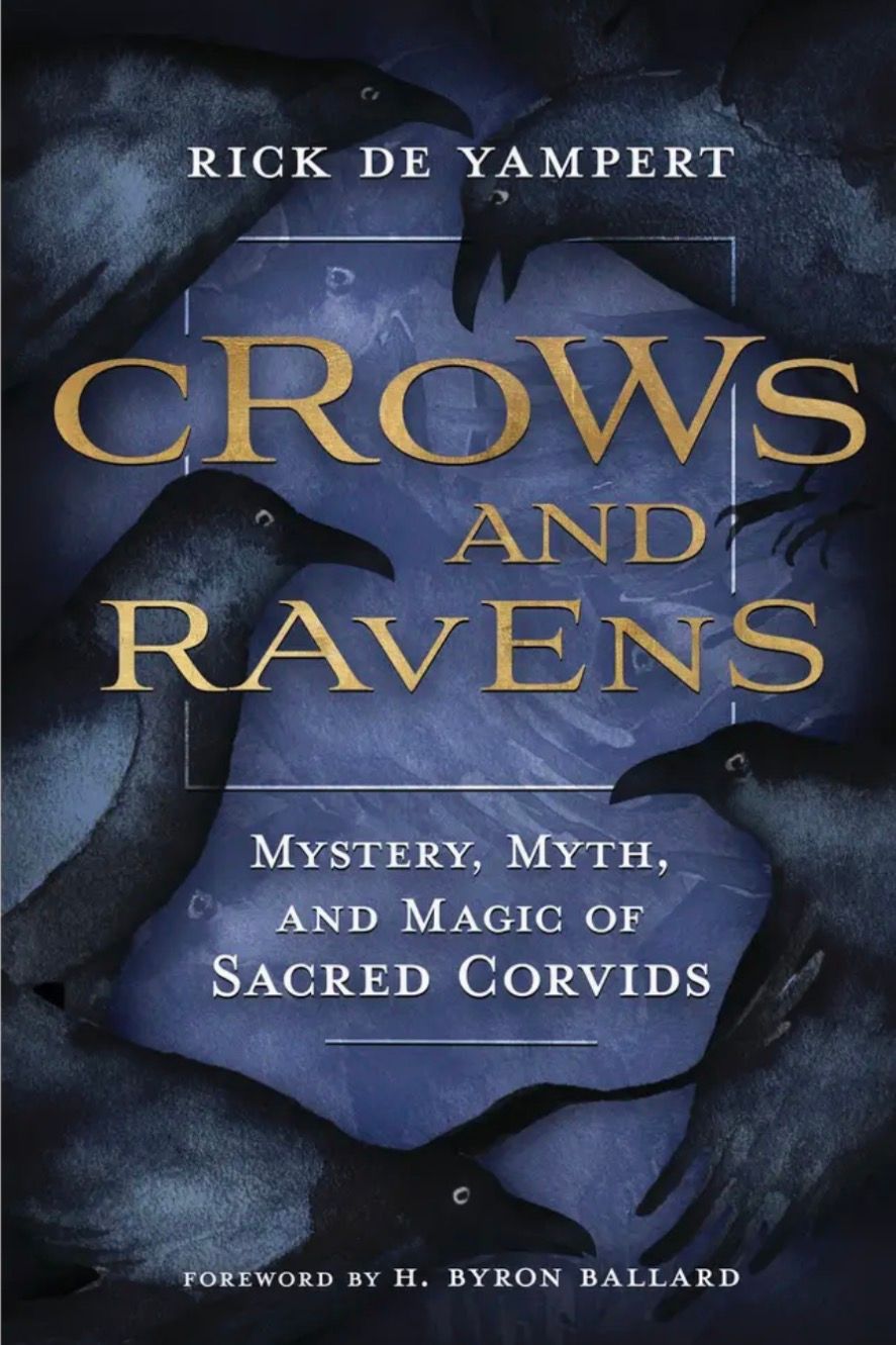 Crows And Ravens