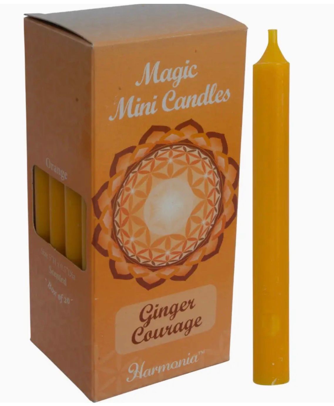 Ginger Courage Ritual Candles (pk 20)