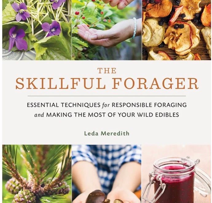 Skillful Forager: Essential Techniques For Responsible Foraging