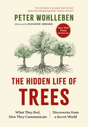 Hidden Life Of Trees