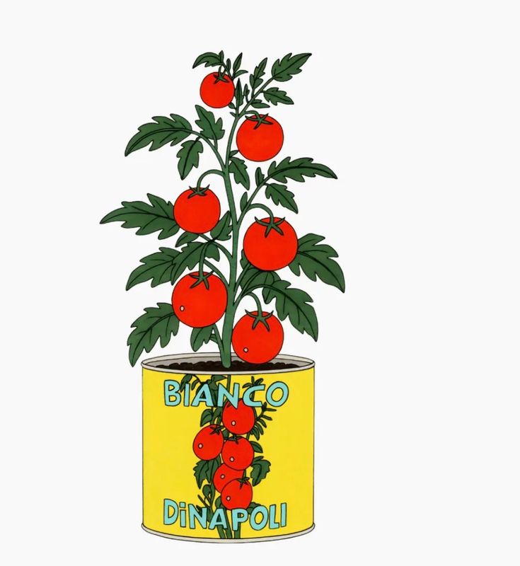 Bianco Dinapoli Tomato Plant Sticker