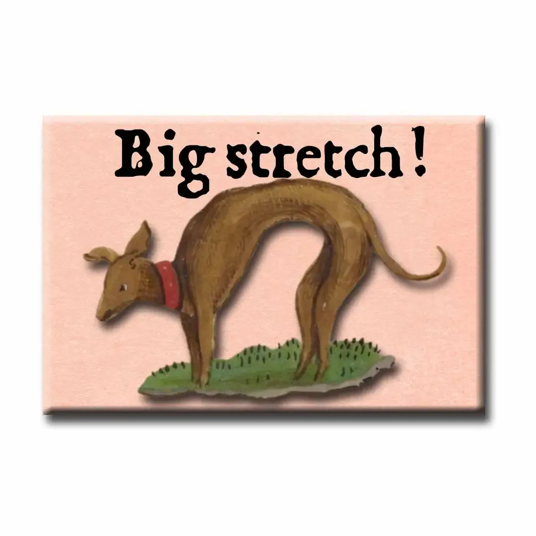 Big Stretch Refrigerator Magnet