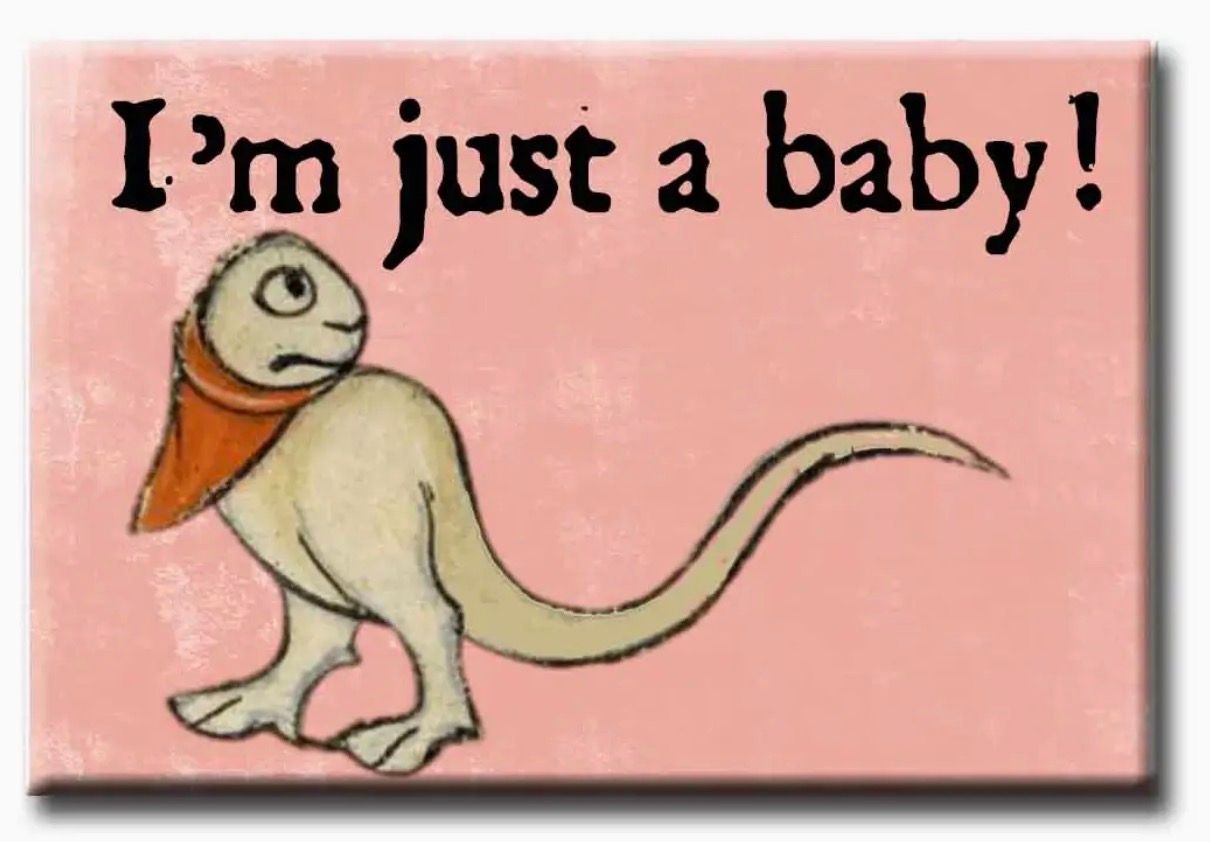 Just A Baby Refrigerator Magnet 