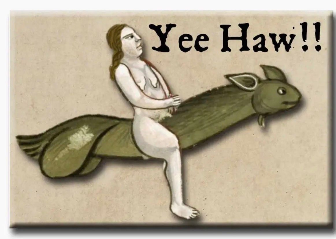 Yee Haw Refrigerator Magnet