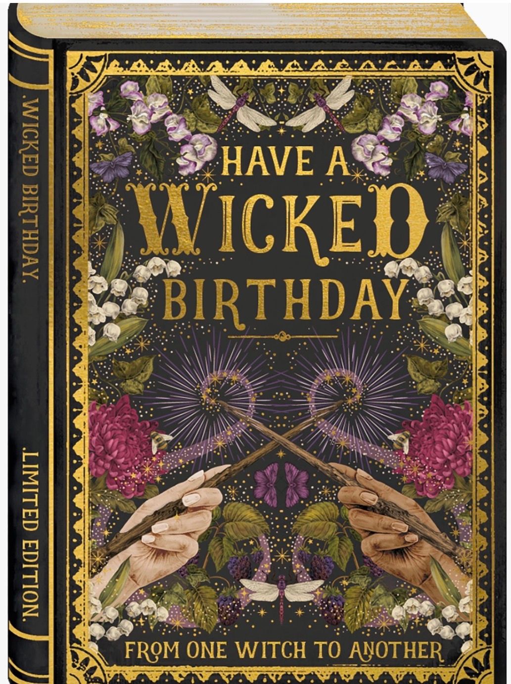 Storybook Wicked Birthday Greeting Card 
