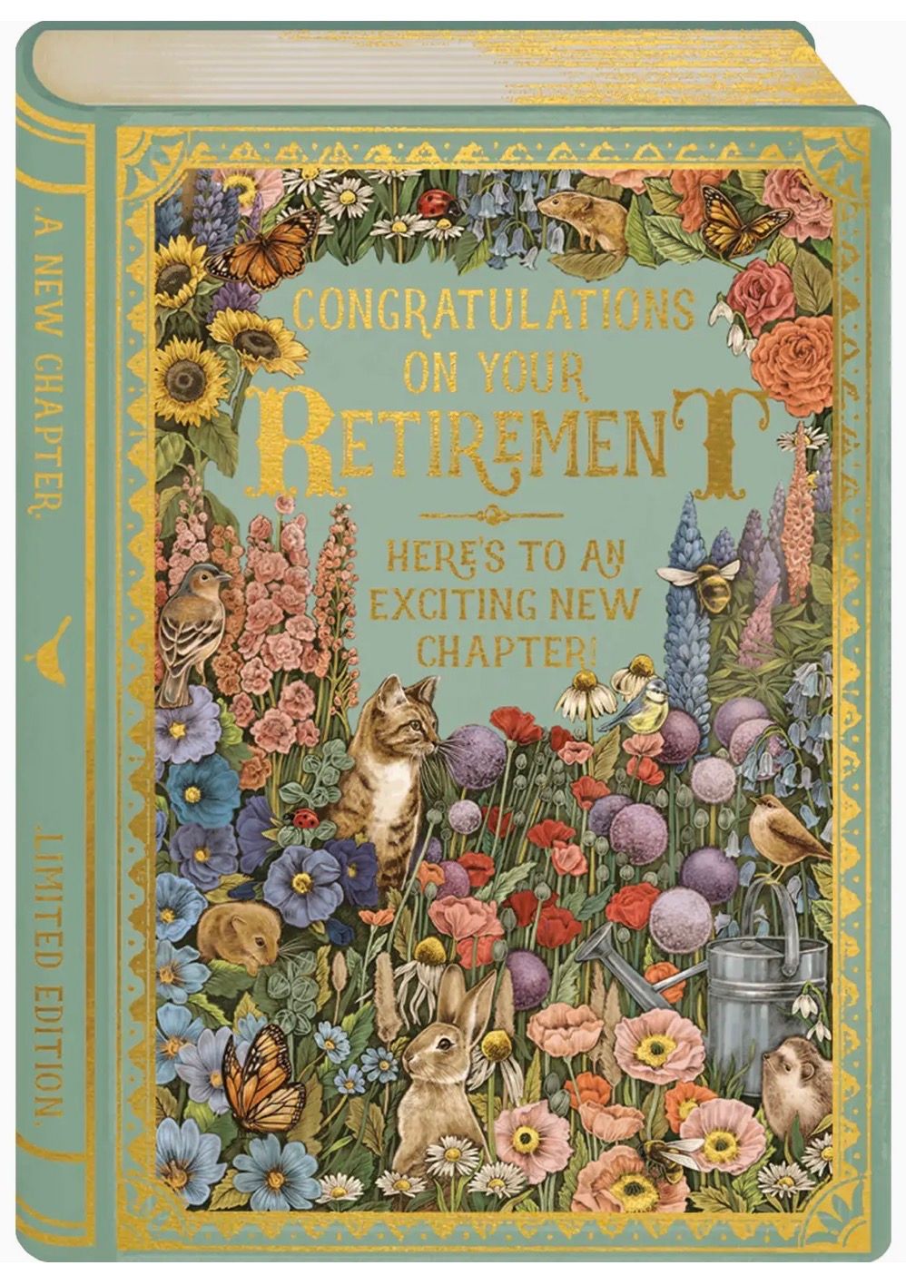 Storybook Congrats Retirement Greeting Card