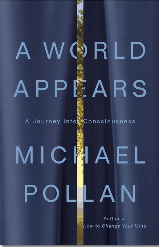 World Appears: A Journey into Consciousness