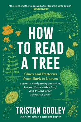 How to Read a Tree: Clues and Patterns from Bark to Leaves