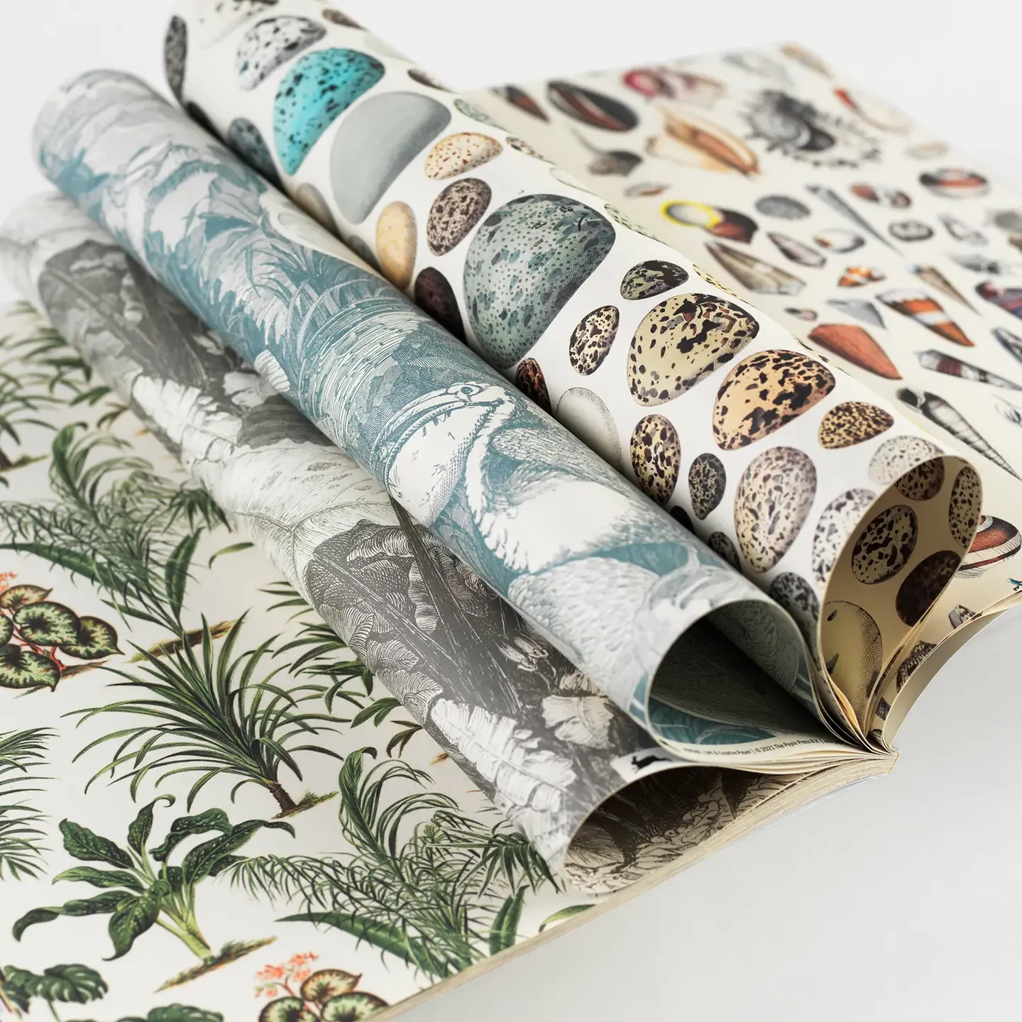 Natural History Gift &amp; Creative Paper Book Vol. 107