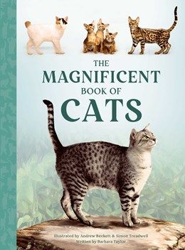 Magnificent Book of Cats HC