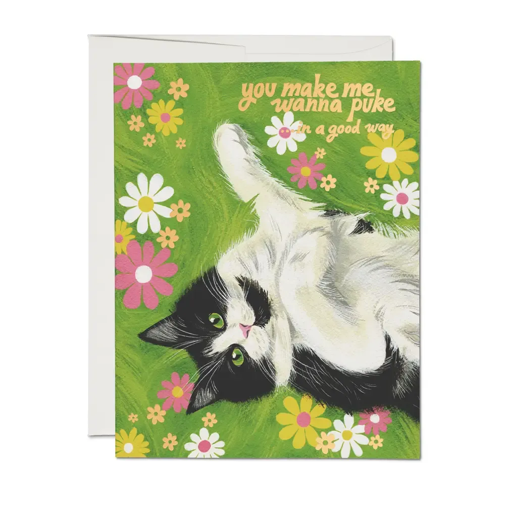 Nice Kitty Love Greeting Card