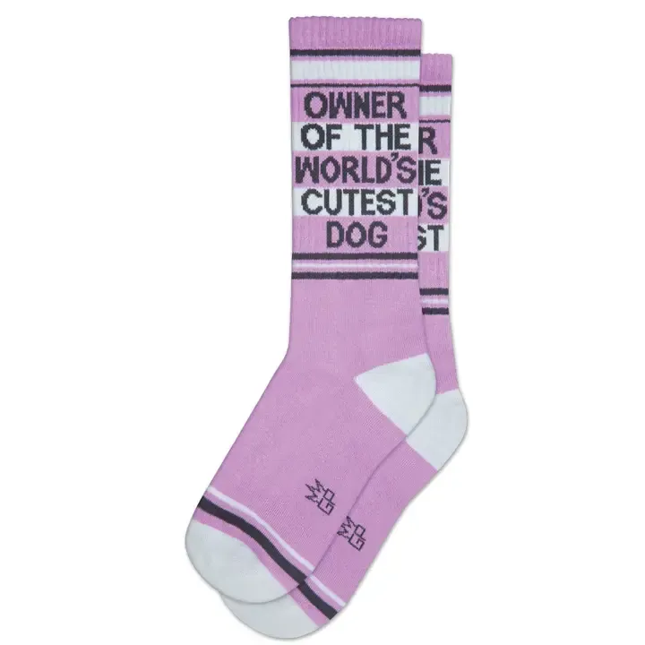 Owner of the World's Cutest Dog Gym Crew Socks